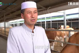 回族董杰：养牛是件幸福的事图片