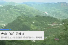 大山“李”的味道视频封面