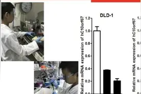 云南小学生“癌症研究”获全国大奖引质疑，其父为研究员视频封面