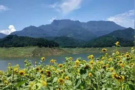 连载《梦萦家山》—— 童年趣事（二）图片
