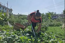 平凡中的坚强——独腿撑起一个家图片