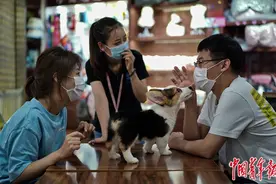 萌宠经济：年轻人花钱求“治愈”？图片
