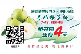 紧急通知！黄石城区多个公园闭园图片