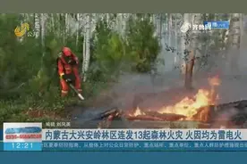 形势严峻！内蒙古大兴安岭林区连发13起森林火灾，火因均为雷电火视频封面