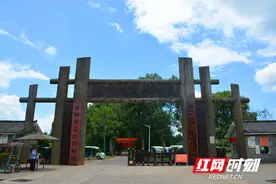 永州创建农高区丨市林科所：创新立所 当好林业科技先锋图片