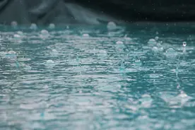 一课译词：风雨无阻图片