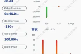 由盈转亏！盾安环境：预计2020年半年度净利润亏损亏损1亿~1.3亿元图片
