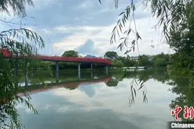 苦练“水上功夫”的浙江：从“求生存”到“求生态”图片