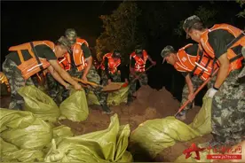 湖北石首：强降雨致千余头麋鹿被困 武警专业救援力量火速驰援图片