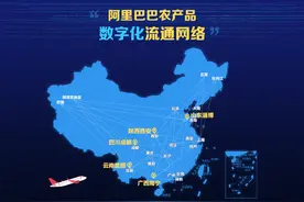 阿里巴巴发布《2020农产品电商报告》：未来五年是数字农业窗口期图片