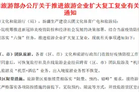 文旅部解禁国内跨省游！国内跟团游、自由行瞬时搜索量激增5倍图片