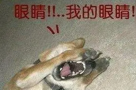 警方通报配色参考来袭，终于不再是刺瞎眼的高饱和蓝了图片
