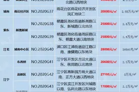 南京拍出9幅地块，6幅触顶！德信进东善桥，佳兆业进鼓楼滨江图片