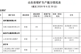 山东审查煤矿产能：现有生产煤矿100处，总生产能力13904万吨/年图片