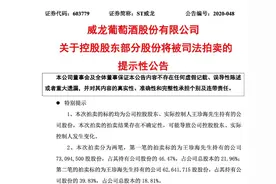 实控人股权被拍卖丢掉公司控制权，ST威龙能否走出困境？图片