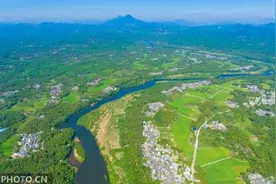 海南琼海：万泉河夏日生态美图片