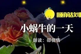 睡前故事丨小蜗牛的一天图片