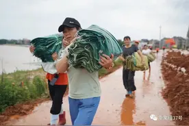 扛沙袋做后勤，广场舞队鄱阳抗洪被称“乘风破浪的姐姐”图片