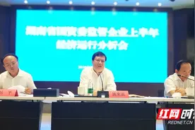 国企谈丨湖南国资系统上半年经济运行分析 七位“管家”坐而论道图片