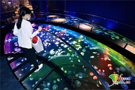 东京墨田水族馆现地下水族箱 展示梦幻水母世界图片
