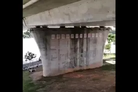 视频｜小猫被困桥墩，市民发帖求助，东莞消防员来了图片