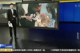 疼！  女孩玩耍时被钢筋插入小腿视频封面
