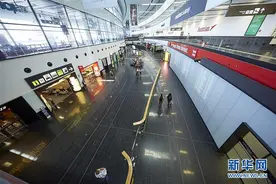 维也纳国际机场6月客运量同比下降95.4%图片