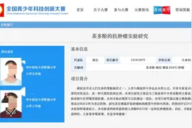 又2名小学生研究喝茶抗癌获奖，武汉科协：已介入调查图片
