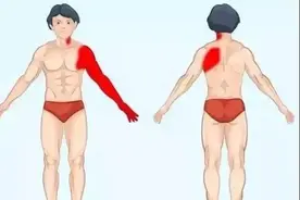 身体的语言：疼痛对照表图片