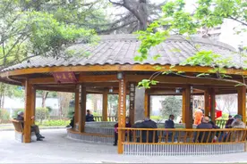 推进老旧院落改造 成都武侯40个老旧院落陆续焕新颜图片