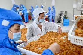 技术革新促“中国鲍鱼之乡”产业升级视频封面