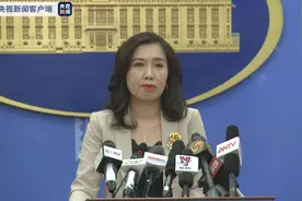 越南外交部：7月中旬起将逐步恢复与部分国家地区的国际航班图片