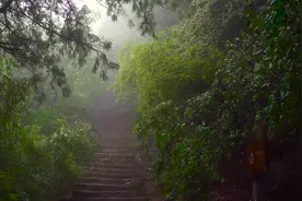 青州十景｜雾锁云门，云海、云雾缭绕山涧图片