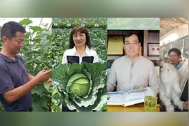 浙江4位农民获评正高职称，系史上首次视频封面