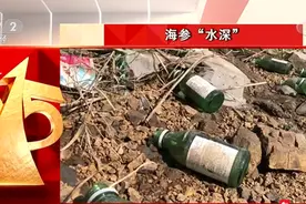 “315晚会”第一弹：海参水“深”！养海参整箱放敌敌畏，南方海参冒充北方海参图片