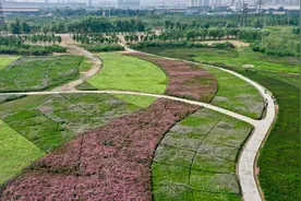 修复城市伤疤 建设唐山花海图片
