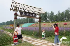 临沂临沭县沭河生态长廊建设“锦上添花”图片