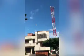 哥伦比亚一只白鸽在空中静止不动仿佛被“冻结”图片