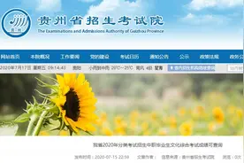 贵州2020年分类考试招生中职毕业生文化综合成绩可查询图片