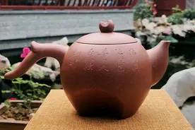 「壶魅天下」之翎祥壶1图片