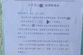 比特大陆发生了什么系列14（詹克团搬空矿场 吴忌寒建“新工厂”）图片