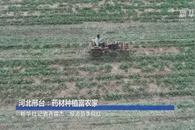 河北邢台：药材种植富农家视频封面