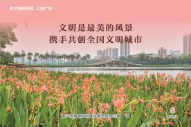 南宁市召开2020年精神文明建设委员会专题会议图片
