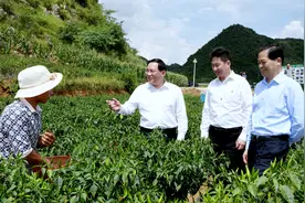 云南乡亲这件事让上海牵挂！李强率团在滇两天深入脱贫攻坚点图片