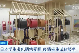 一个书包卖到1万三？！36亿元的大市场，专为小学生服务！暗藏啥玄机？图片
