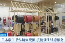 一个书包卖到1万三！36亿元的大市场，专为小学生服务！暗藏啥玄机？图片
