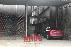吃光3只鸡1只鸭！大狗闯入百饭路居民家“大快朵颐”，特警出动当场击毙图片