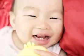 童书编辑妈妈这样带小宝宝认识动物图片
