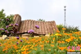 探访江苏邳州授贤村：沂水之滨“卖风景”小康生活“美如画”图片