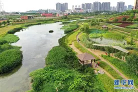 南宁那考河湿地公园：一条“臭水沟”的华丽转身图片